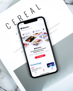 Spotlight on Nigerian Politics